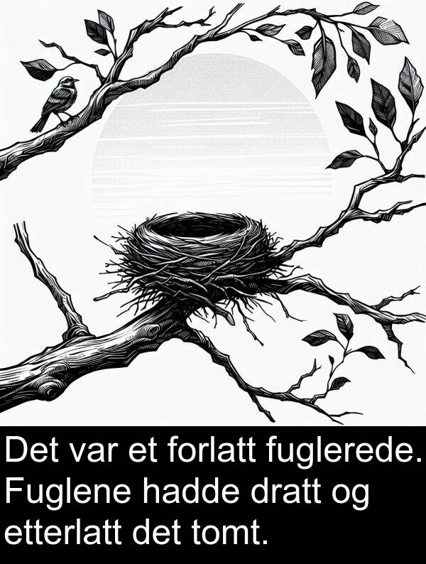 etterlatt: Det var et forlatt fuglerede. Fuglene hadde dratt og etterlatt det tomt.