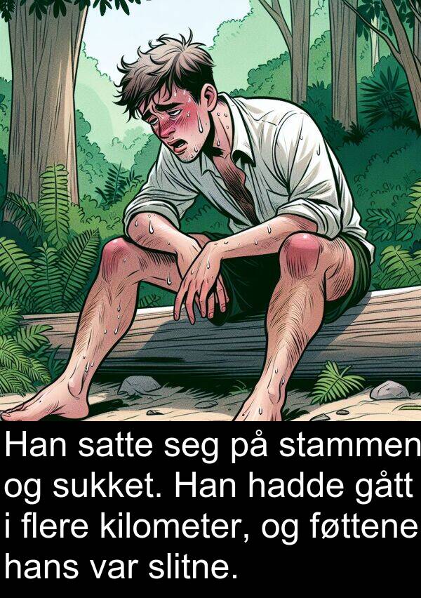 kilometer: Han satte seg på stammen og sukket. Han hadde gått i flere kilometer, og føttene hans var slitne.