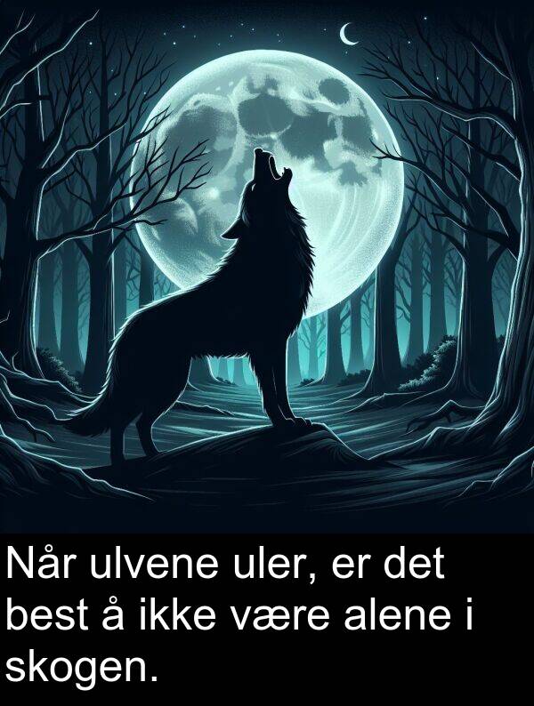 skogen: Når ulvene uler, er det best å ikke være alene i skogen.