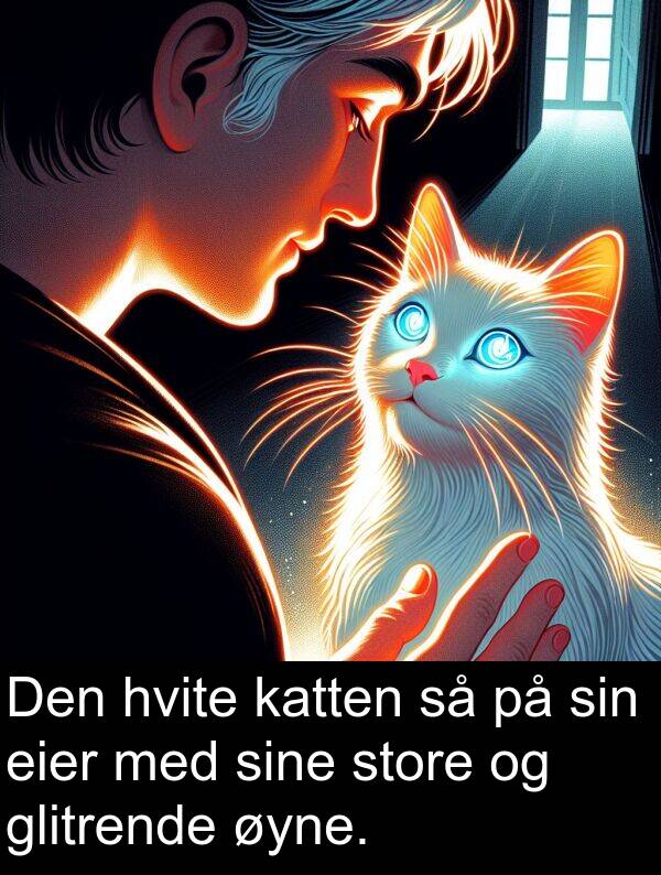 hvite: Den hvite katten så på sin eier med sine store og glitrende øyne.