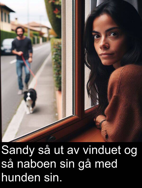 naboen: Sandy så ut av vinduet og så naboen sin gå med hunden sin.