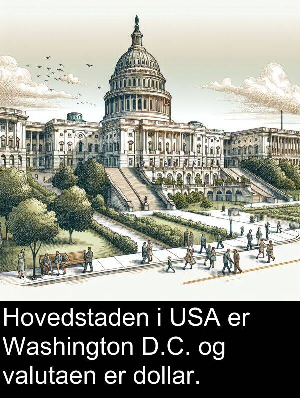 dollar: Hovedstaden i USA er Washington D.C. og valutaen er dollar.