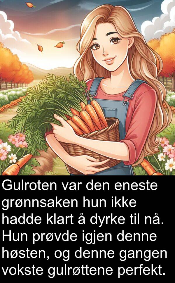 perfekt: Gulroten var den eneste grønnsaken hun ikke hadde klart å dyrke til nå. Hun prøvde igjen denne høsten, og denne gangen vokste gulrøttene perfekt.