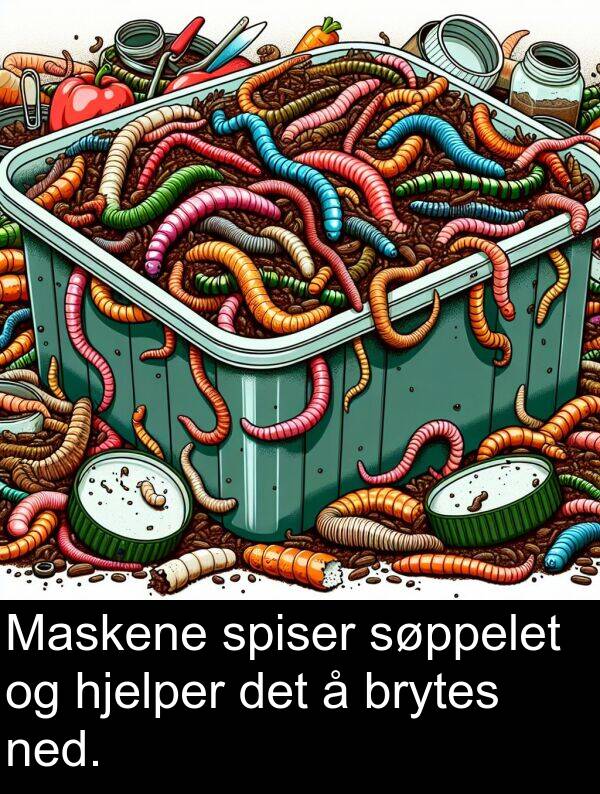 ned: Maskene spiser søppelet og hjelper det å brytes ned.