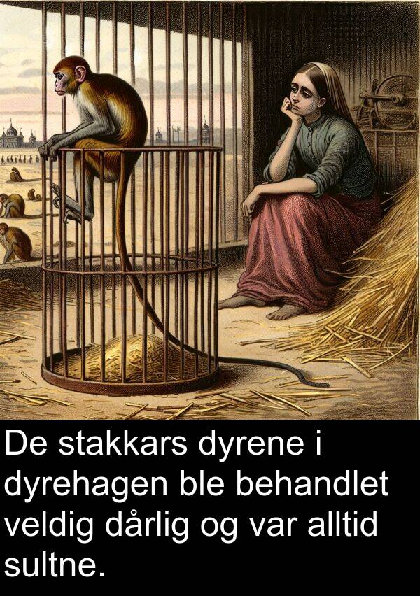 dyrene: De stakkars dyrene i dyrehagen ble behandlet veldig dårlig og var alltid sultne.