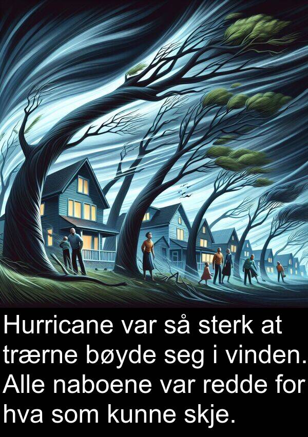 redde: Hurricane var så sterk at trærne bøyde seg i vinden. Alle naboene var redde for hva som kunne skje.