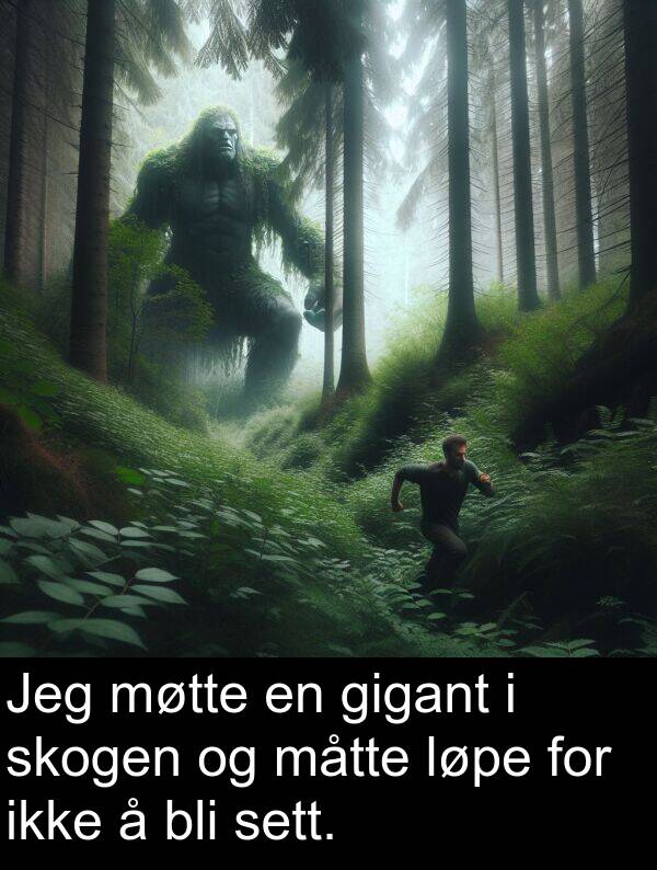 skogen: Jeg møtte en gigant i skogen og måtte løpe for ikke å bli sett.