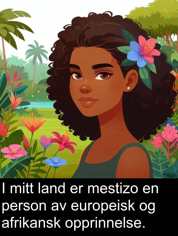 mestizo: I mitt land er mestizo en person av europeisk og afrikansk opprinnelse.