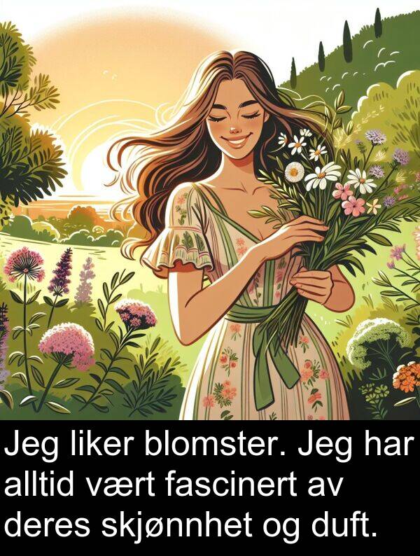 fascinert: Jeg liker blomster. Jeg har alltid vært fascinert av deres skjønnhet og duft.