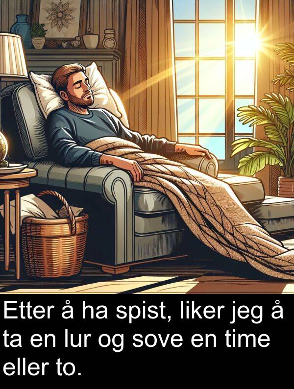 sove: Etter å ha spist, liker jeg å ta en lur og sove en time eller to.