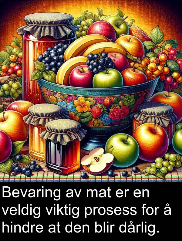 prosess: Bevaring av mat er en veldig viktig prosess for å hindre at den blir dårlig.