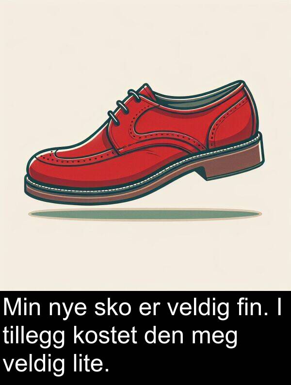 sko: Min nye sko er veldig fin. I tillegg kostet den meg veldig lite.