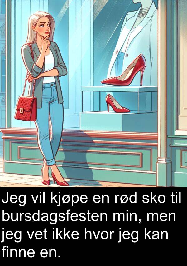 sko: Jeg vil kjøpe en rød sko til bursdagsfesten min, men jeg vet ikke hvor jeg kan finne en.