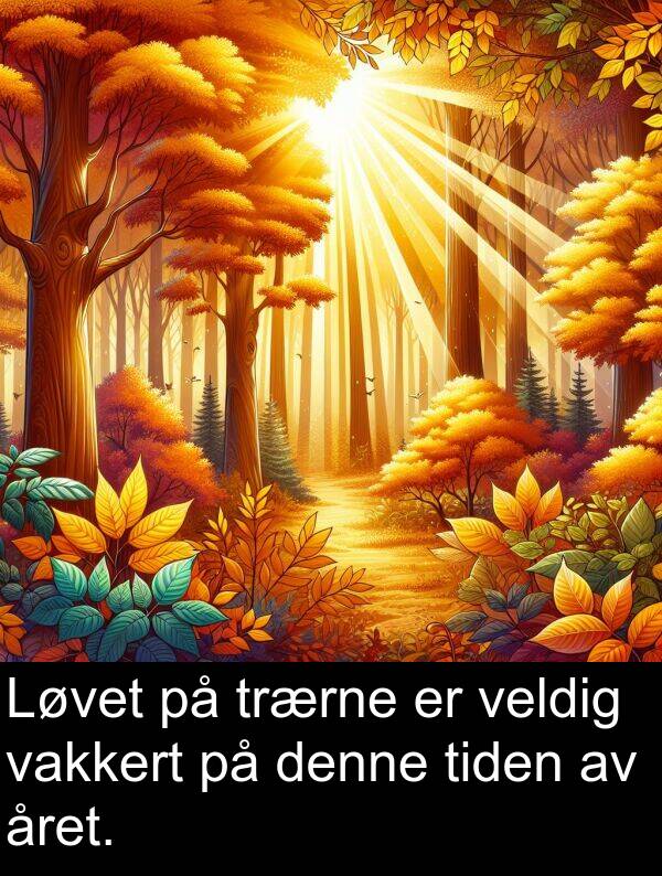 vakkert: Løvet på trærne er veldig vakkert på denne tiden av året.