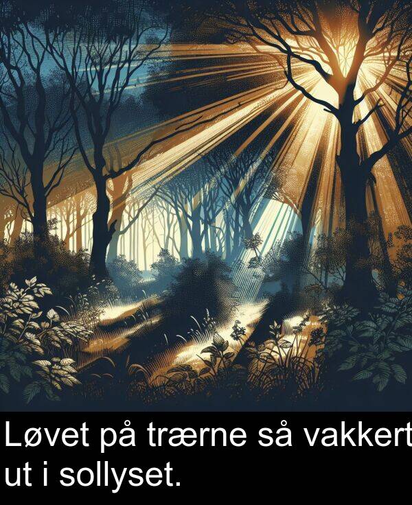 vakkert: Løvet på trærne så vakkert ut i sollyset.