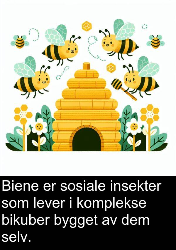 selv: Biene er sosiale insekter som lever i komplekse bikuber bygget av dem selv.