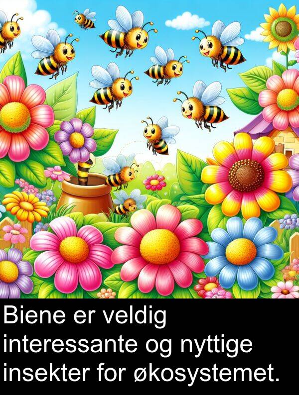 økosystemet: Biene er veldig interessante og nyttige insekter for økosystemet.