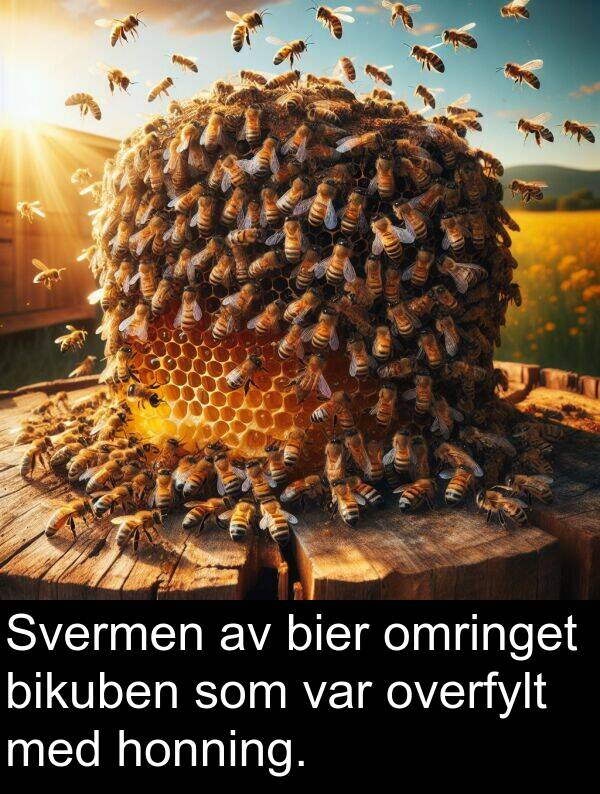 omringet: Svermen av bier omringet bikuben som var overfylt med honning.