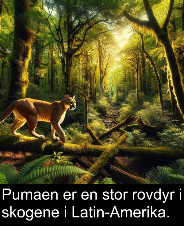 skogene: Pumaen er en stor rovdyr i skogene i Latin-Amerika.