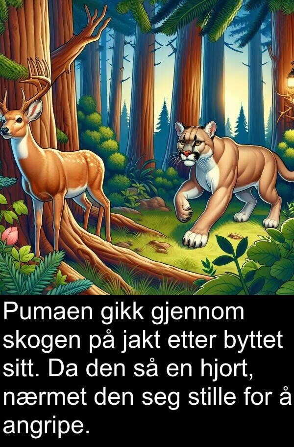stille: Pumaen gikk gjennom skogen på jakt etter byttet sitt. Da den så en hjort, nærmet den seg stille for å angripe.