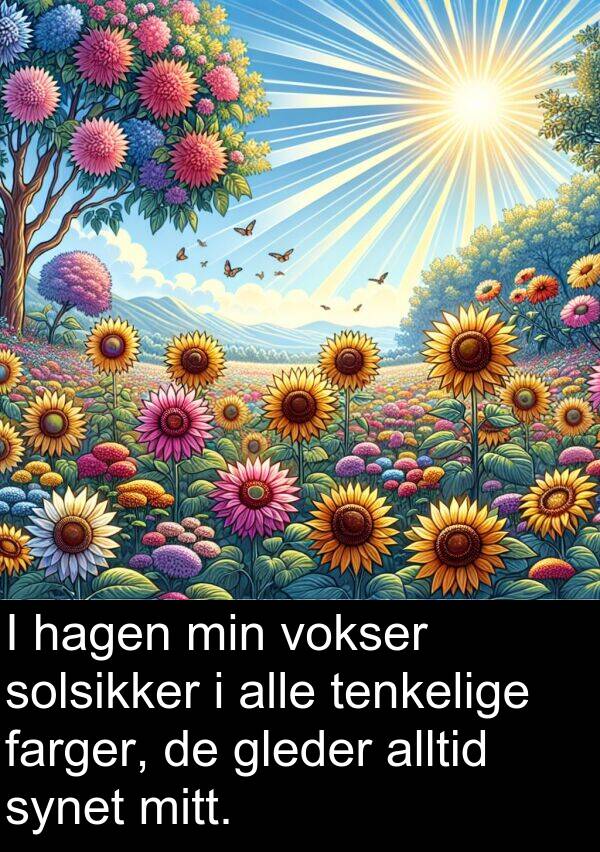 farger: I hagen min vokser solsikker i alle tenkelige farger, de gleder alltid synet mitt.