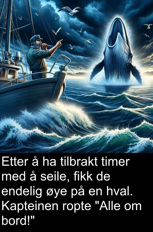 tilbrakt: Etter å ha tilbrakt timer med å seile, fikk de endelig øye på en hval. Kapteinen ropte "Alle om bord!"