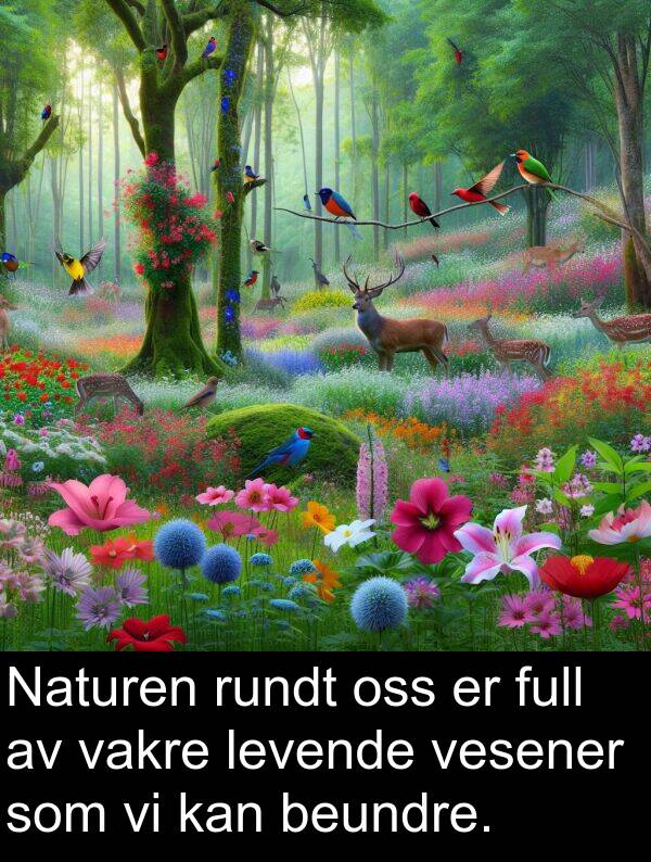 vakre: Naturen rundt oss er full av vakre levende vesener som vi kan beundre.