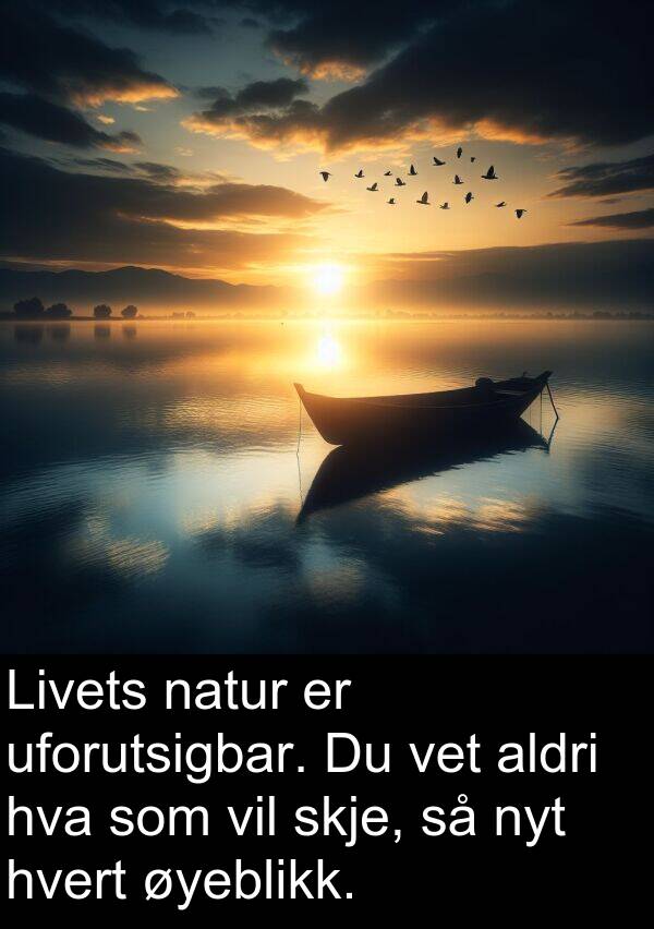 hvert: Livets natur er uforutsigbar. Du vet aldri hva som vil skje, så nyt hvert øyeblikk.
