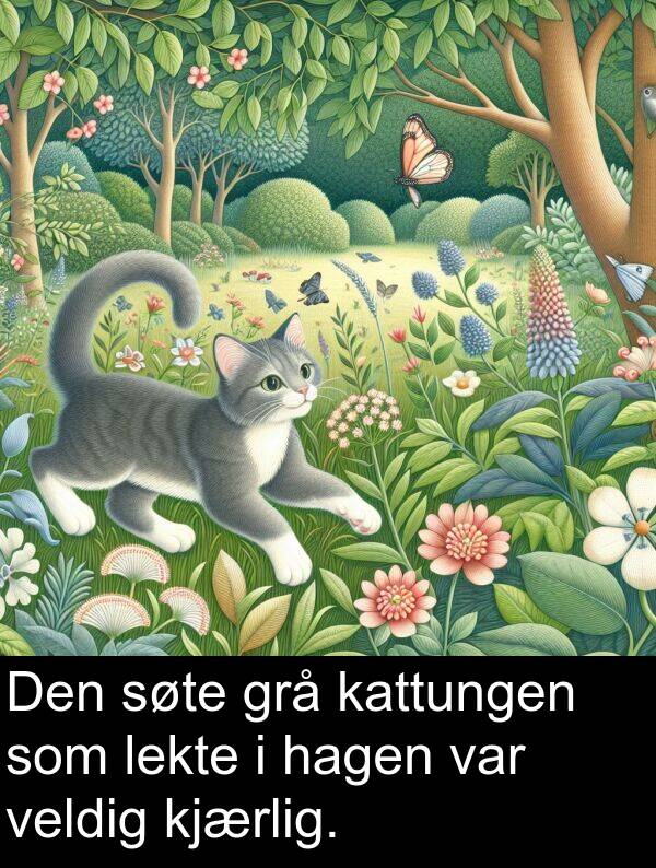 lekte: Den søte grå kattungen som lekte i hagen var veldig kjærlig.