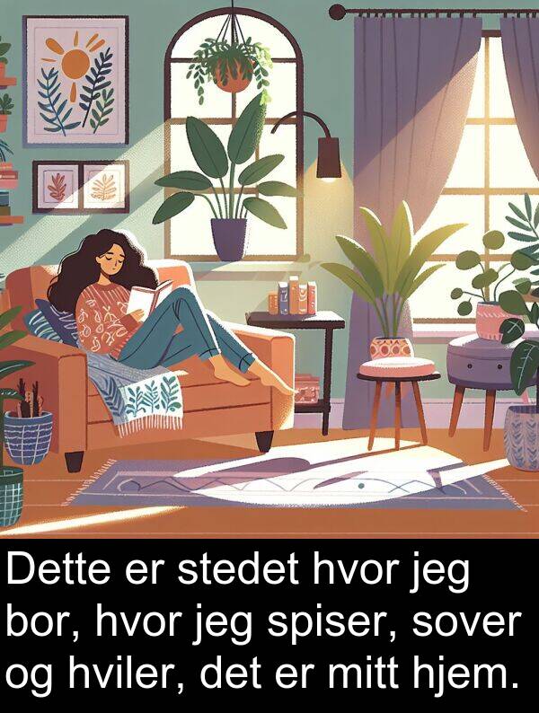 hviler: Dette er stedet hvor jeg bor, hvor jeg spiser, sover og hviler, det er mitt hjem.