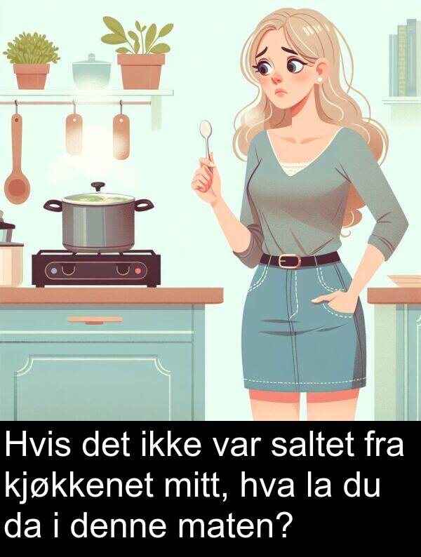 maten: Hvis det ikke var saltet fra kjøkkenet mitt, hva la du da i denne maten?