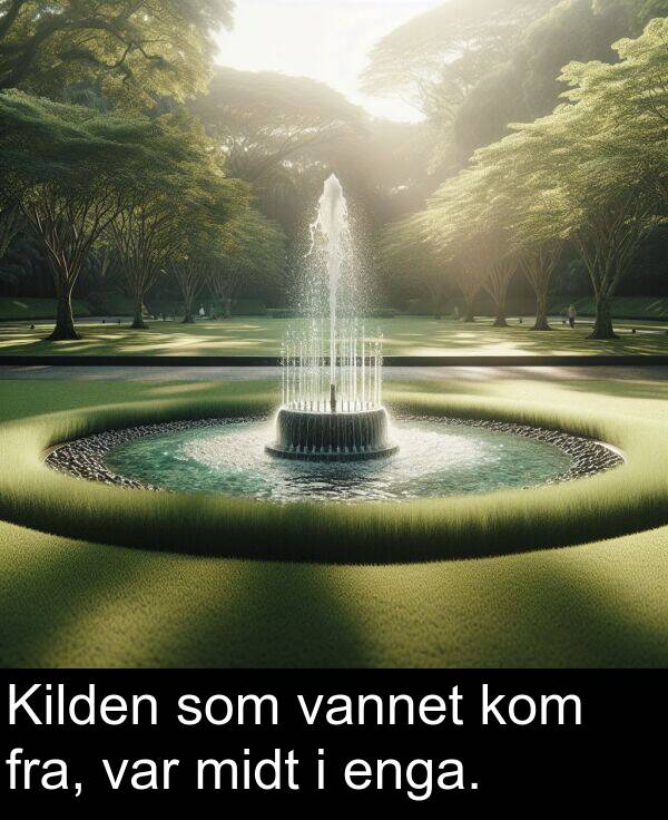som: Kilden som vannet kom fra, var midt i enga.