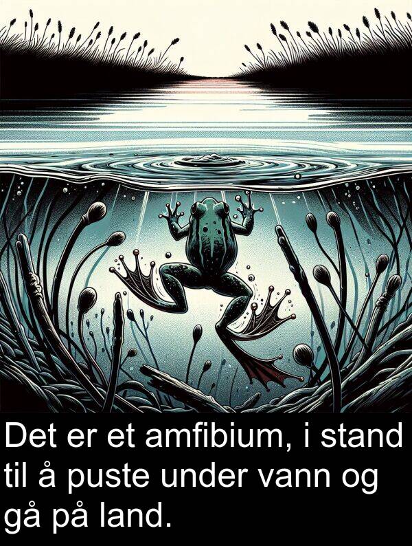 under: Det er et amfibium, i stand til å puste under vann og gå på land.