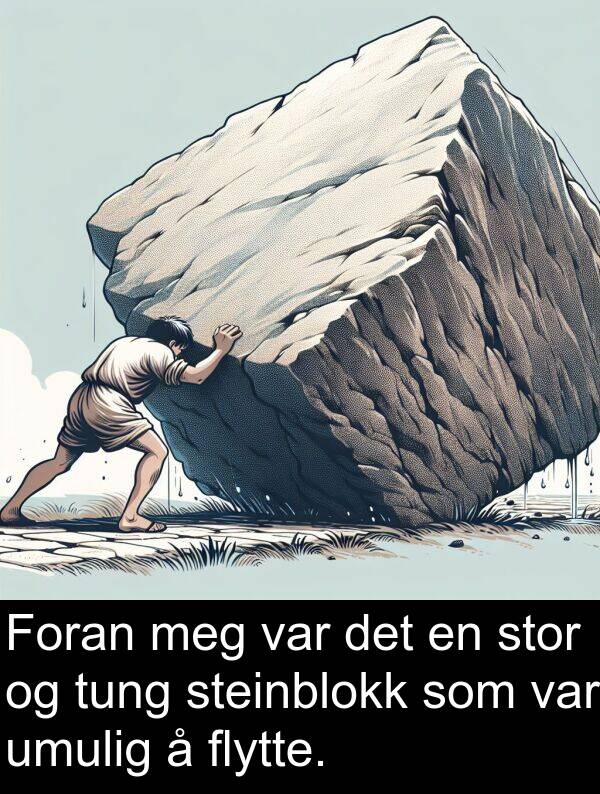 flytte: Foran meg var det en stor og tung steinblokk som var umulig å flytte.