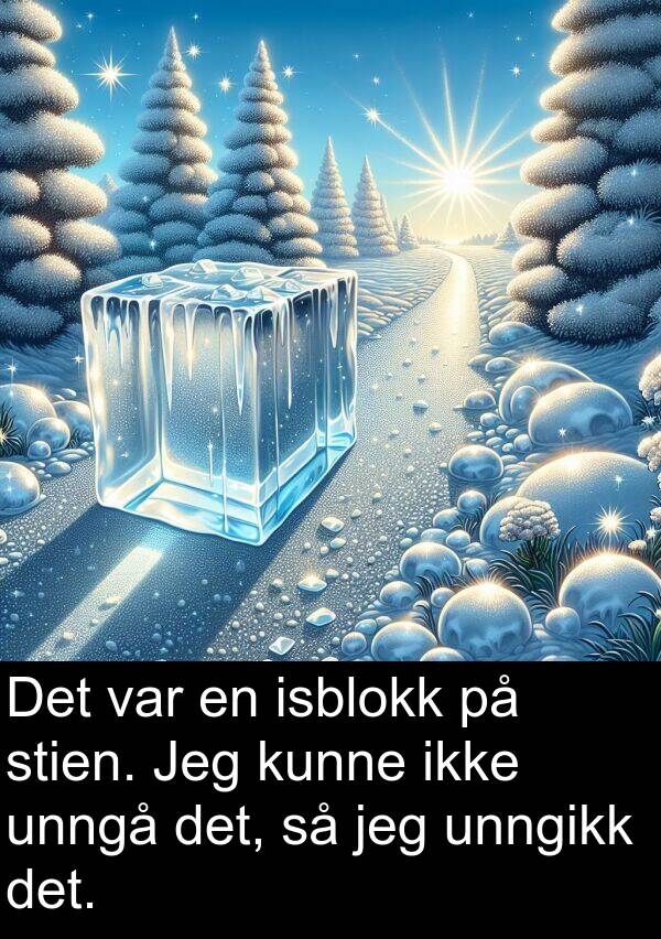 unngikk: Det var en isblokk på stien. Jeg kunne ikke unngå det, så jeg unngikk det.