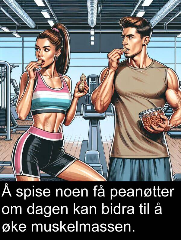 peanøtter: Å spise noen få peanøtter om dagen kan bidra til å øke muskelmassen.