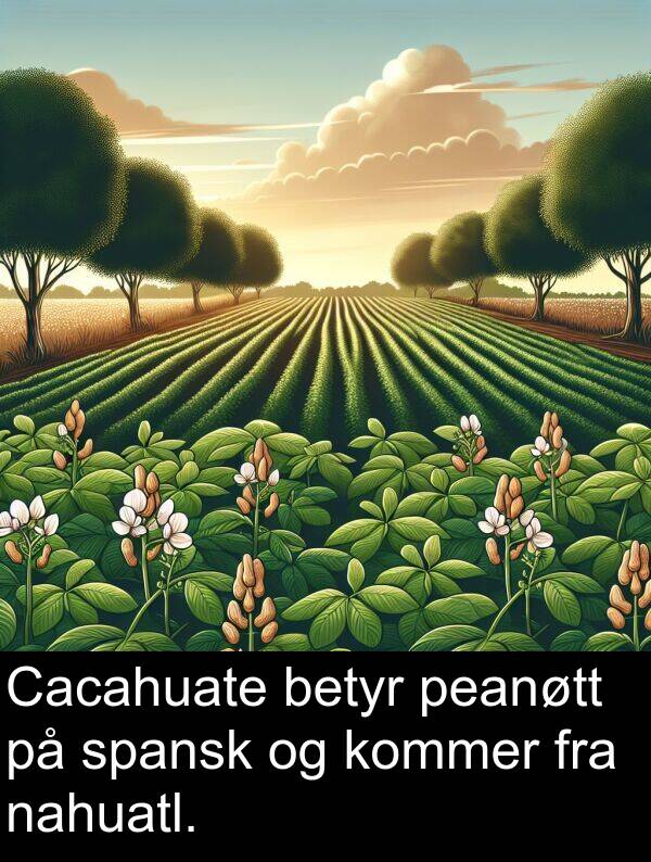 nahuatl: Cacahuate betyr peanøtt på spansk og kommer fra nahuatl.