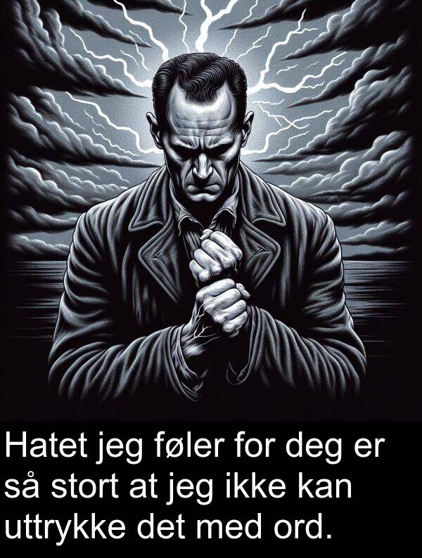 ord: Hatet jeg føler for deg er så stort at jeg ikke kan uttrykke det med ord.