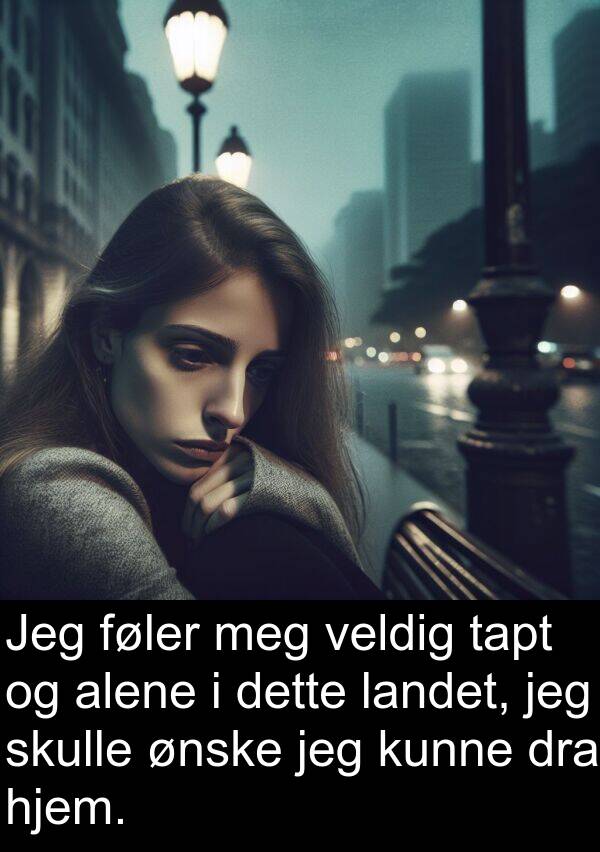 hjem: Jeg føler meg veldig tapt og alene i dette landet, jeg skulle ønske jeg kunne dra hjem.