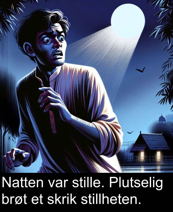 stillheten: Natten var stille. Plutselig brøt et skrik stillheten.