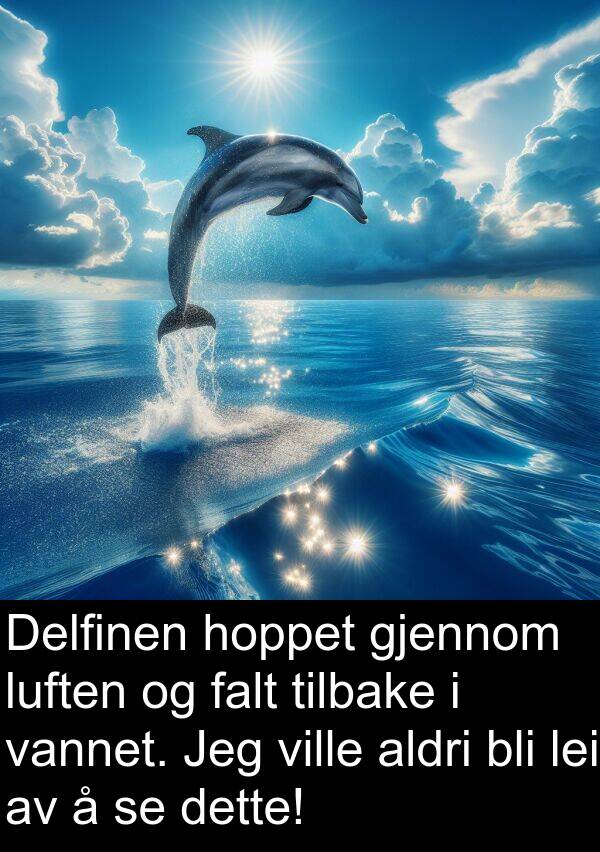 falt: Delfinen hoppet gjennom luften og falt tilbake i vannet. Jeg ville aldri bli lei av å se dette!