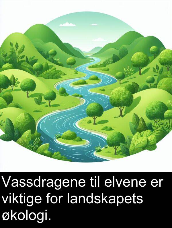 økologi: Vassdragene til elvene er viktige for landskapets økologi.