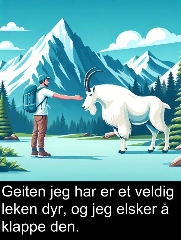 leken: Geiten jeg har er et veldig leken dyr, og jeg elsker å klappe den.