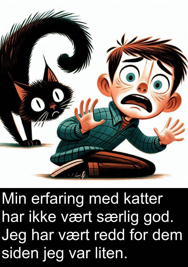 siden: Min erfaring med katter har ikke vært særlig god. Jeg har vært redd for dem siden jeg var liten.