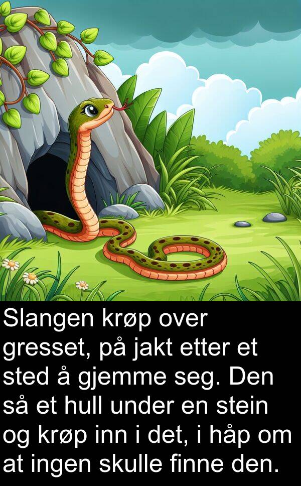 finne: Slangen krøp over gresset, på jakt etter et sted å gjemme seg. Den så et hull under en stein og krøp inn i det, i håp om at ingen skulle finne den.