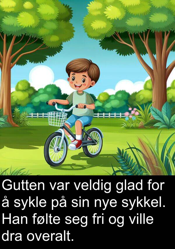 overalt: Gutten var veldig glad for å sykle på sin nye sykkel. Han følte seg fri og ville dra overalt.
