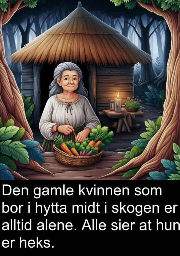 skogen: Den gamle kvinnen som bor i hytta midt i skogen er alltid alene. Alle sier at hun er heks.