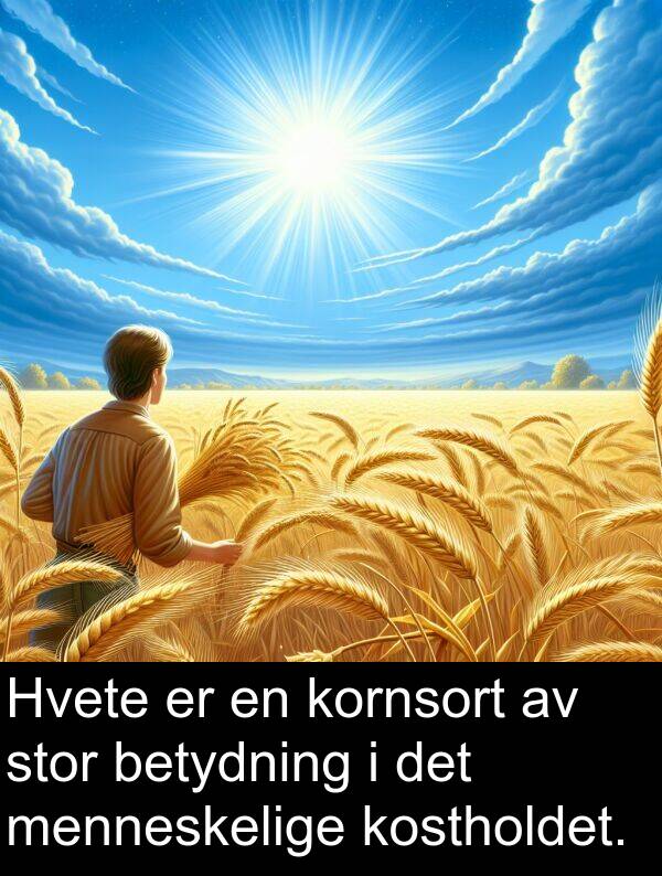 menneskelige: Hvete er en kornsort av stor betydning i det menneskelige kostholdet.