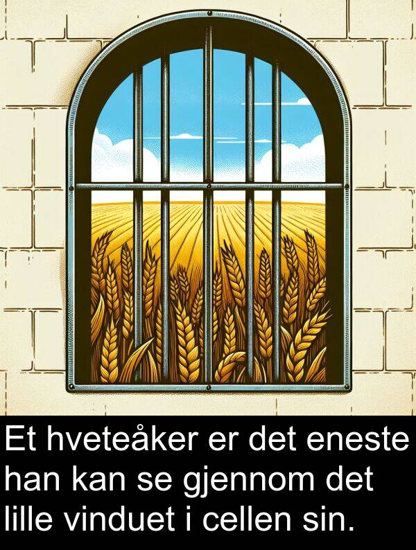gjennom: Et hveteåker er det eneste han kan se gjennom det lille vinduet i cellen sin.