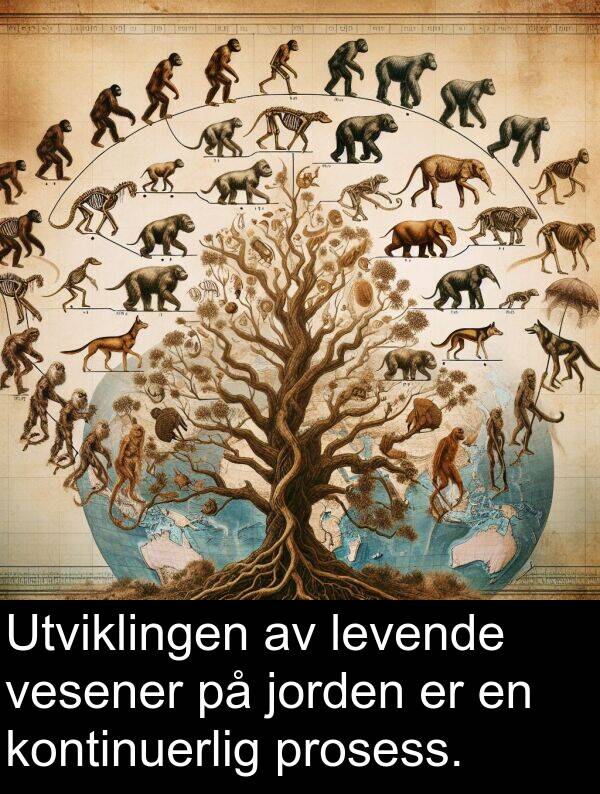 prosess: Utviklingen av levende vesener på jorden er en kontinuerlig prosess.